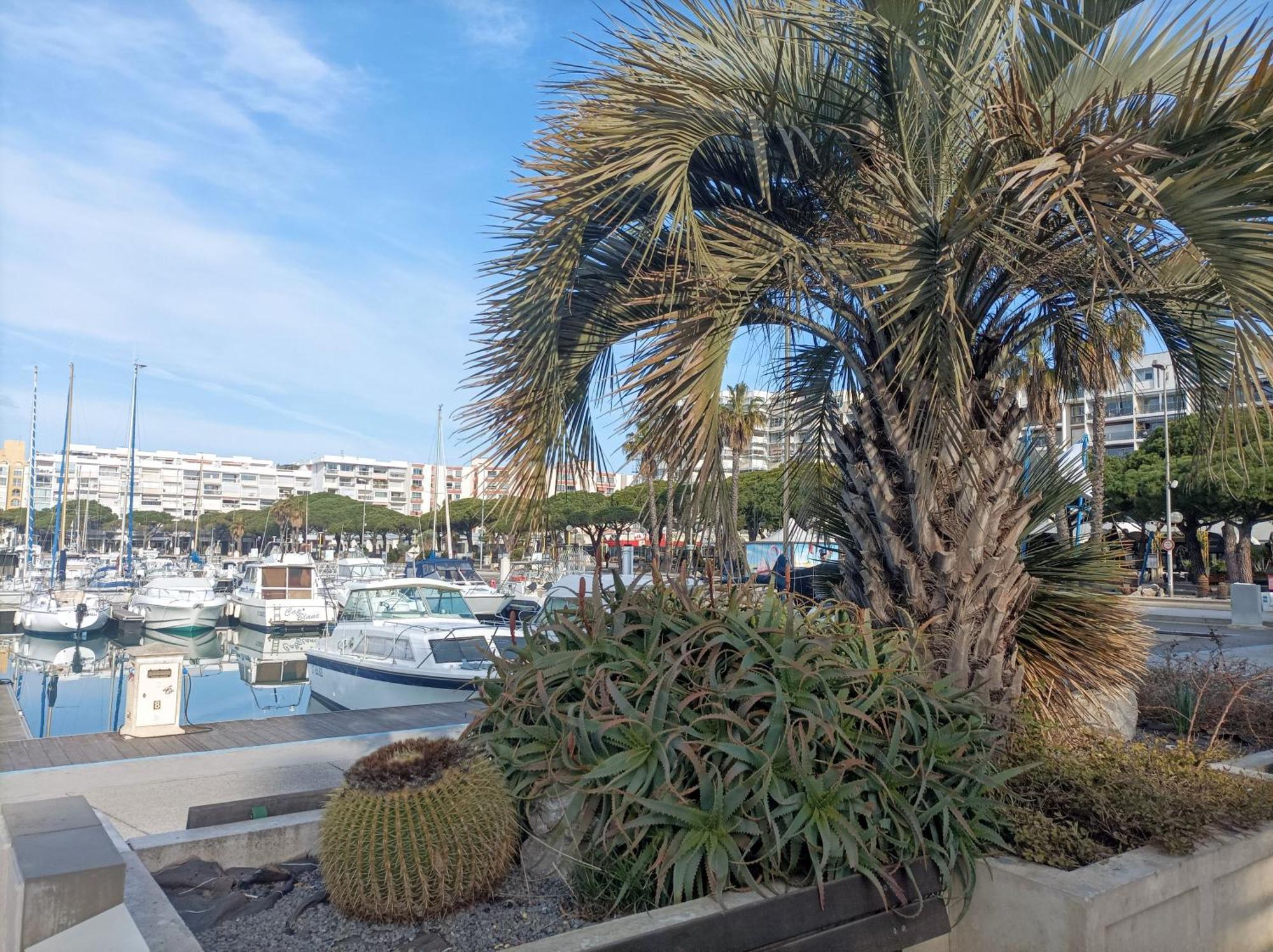 Studio Port De Plaisance Mauguio Bagian luar foto
